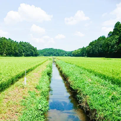 多古町